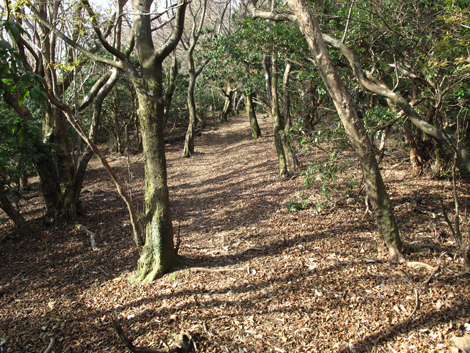 20131124hike (346)